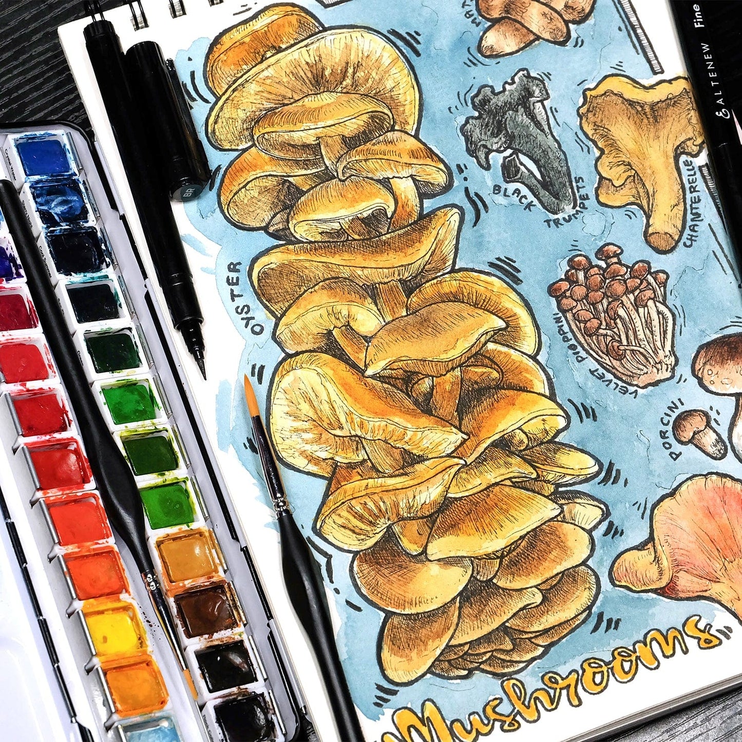 Watercolor Pans Artists' Watercolor 24 Pan Set