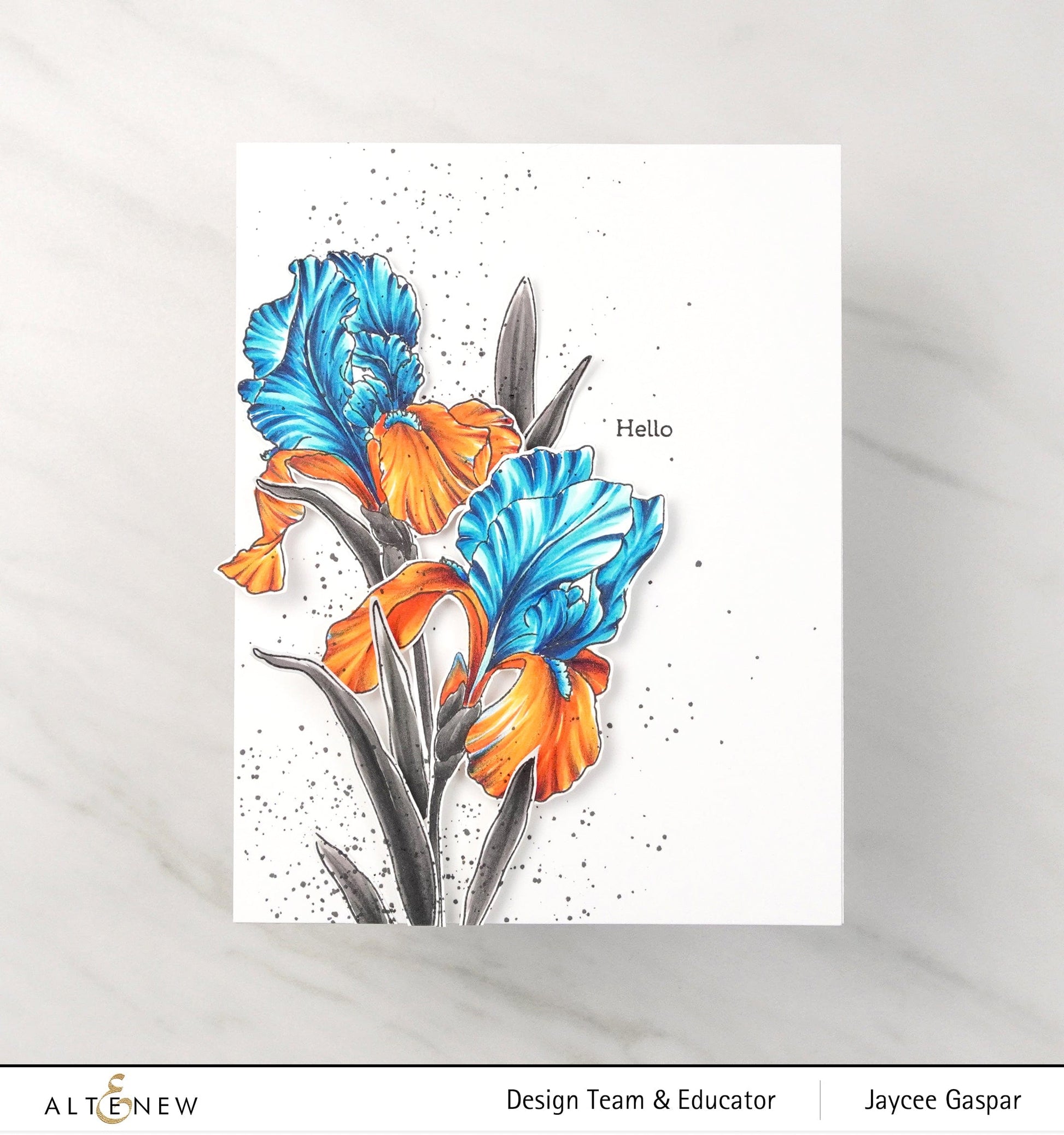 Alcohol Marker Bundle Mystic Garden & Beach Garden Artist Alcohol Markers Bundle