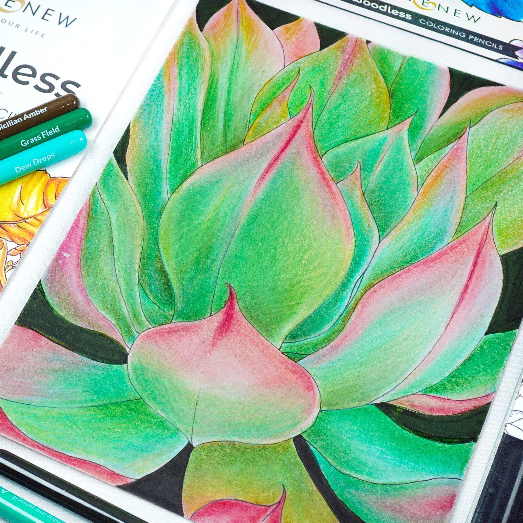 Alcohol Markers Artist Markers Summer Afternoon Set