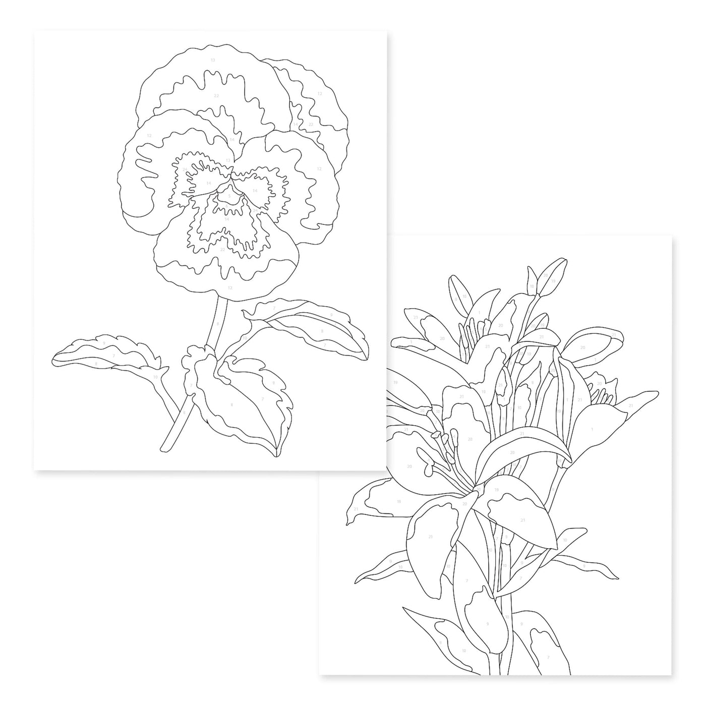 Coloring Book Paint-by-Number: Instant Artist - Artistic Blooms (4 Sheets)