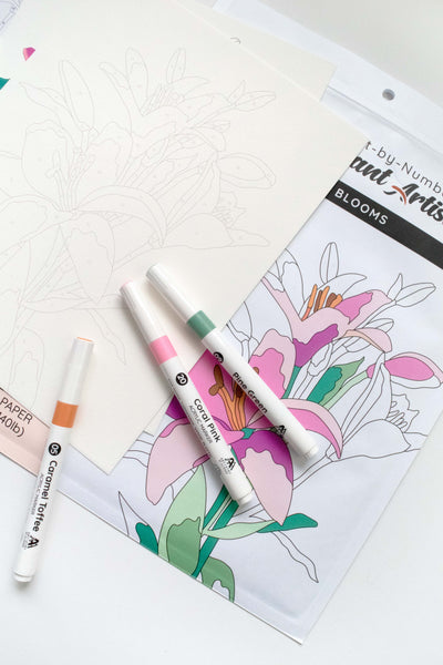 Coloring Book Paint-by-Number: Instant Artist - Artistic Blooms (4 Sheets)