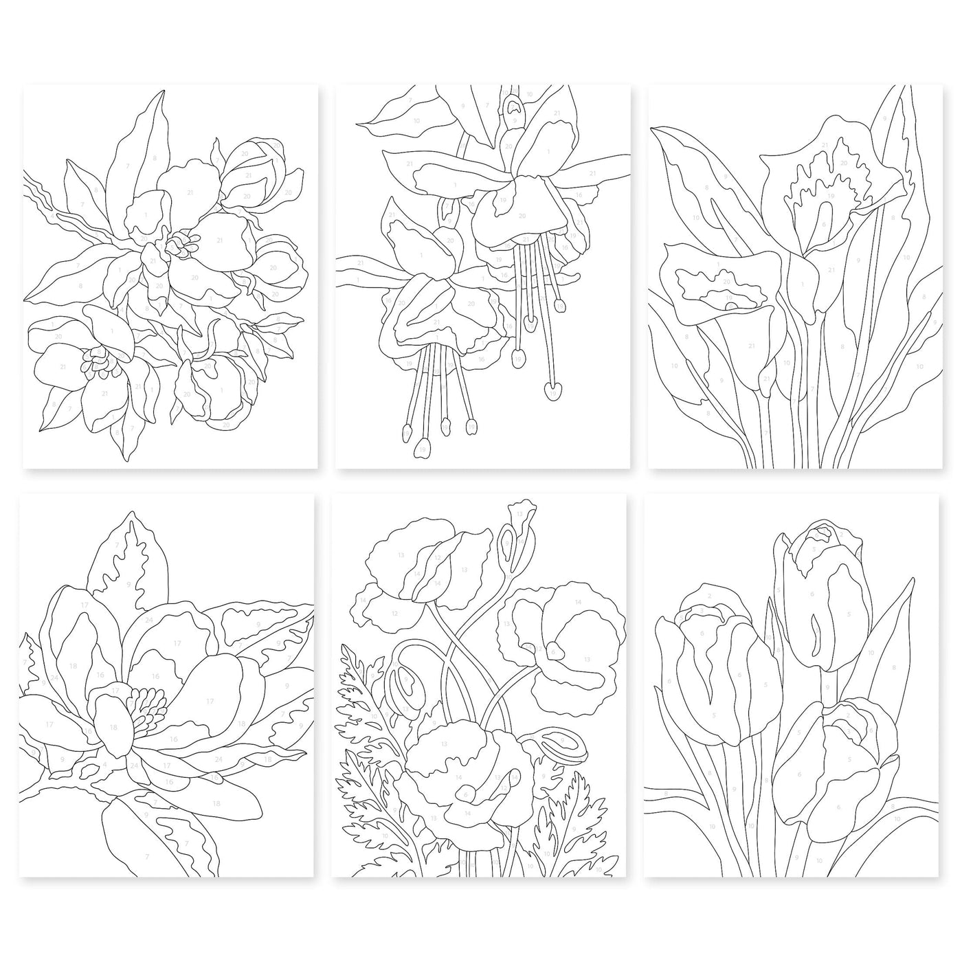 Coloring Book Paint-by-Number: Instant Artist - Blossoming Florals (12 Sheets)