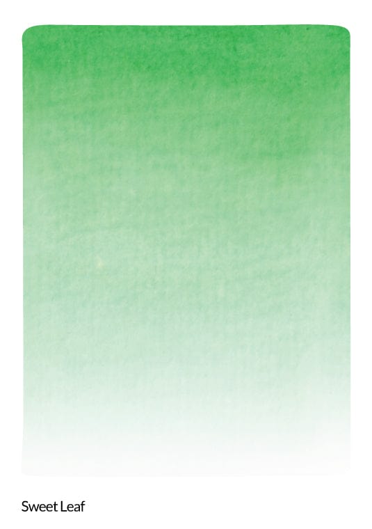 Liquid Watercolor Sweet Leaf Liquid Watercolor - Brush Marker Refill