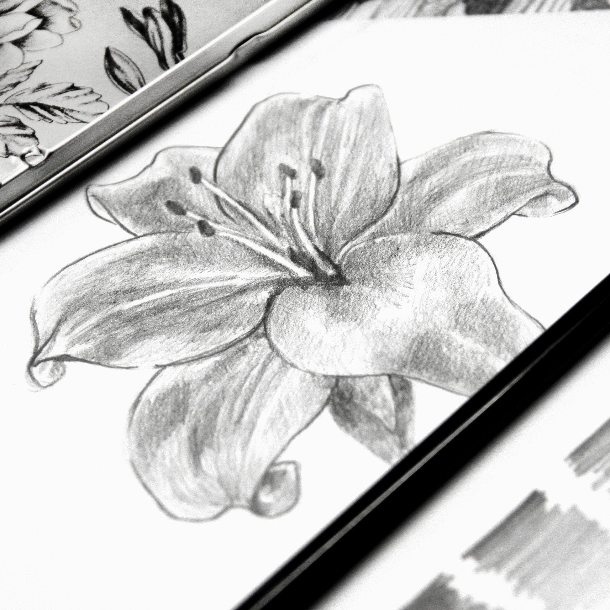 Pencils Monochrome Shading Pencils