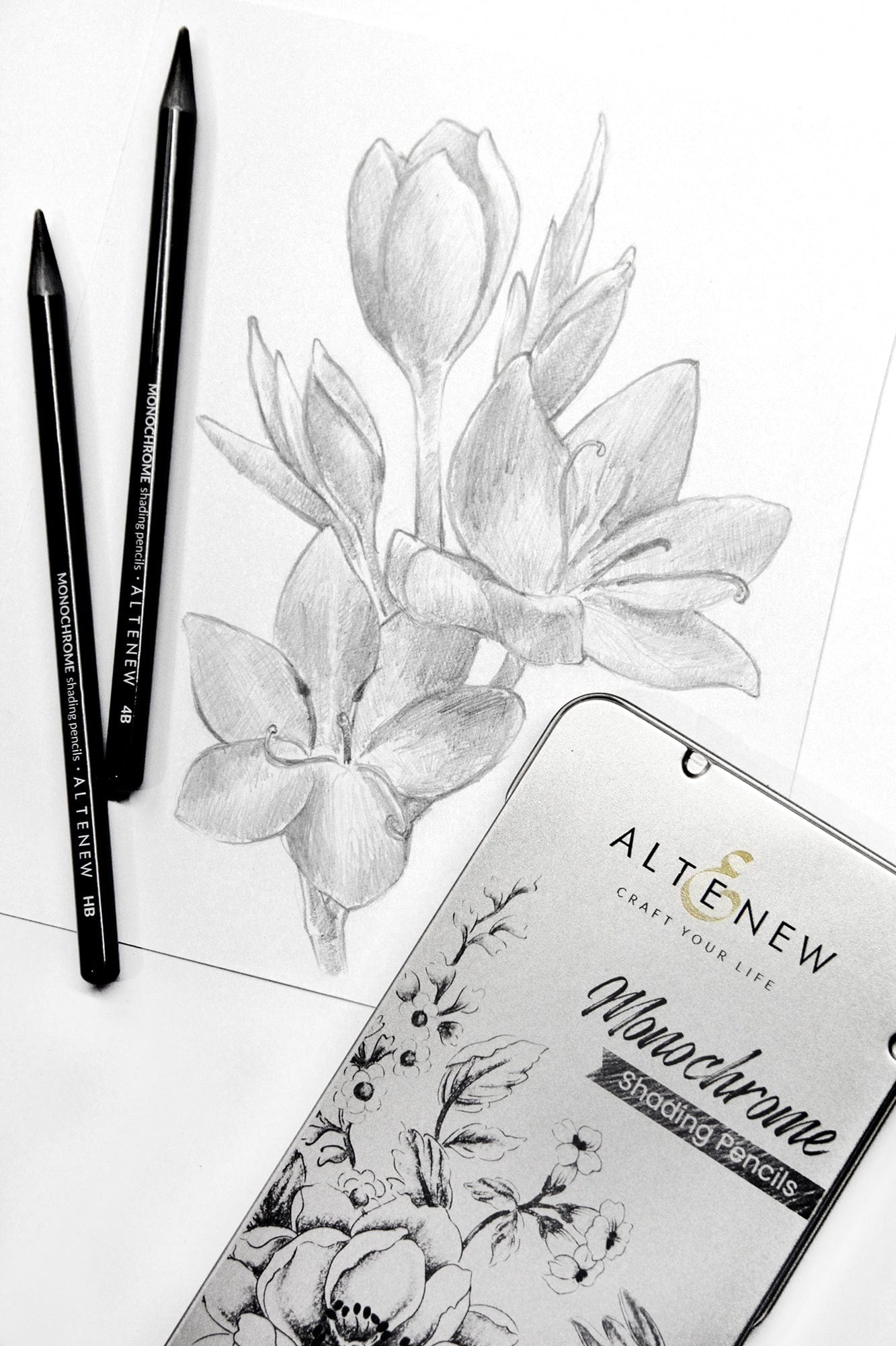 Pencils Monochrome Shading Pencils