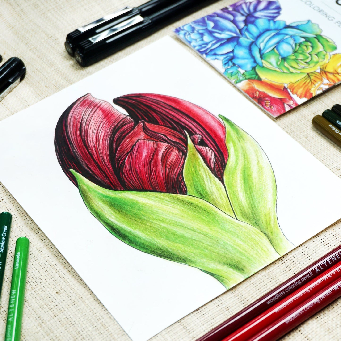 Pencils Woodless Watercolor Pencil 24 Set