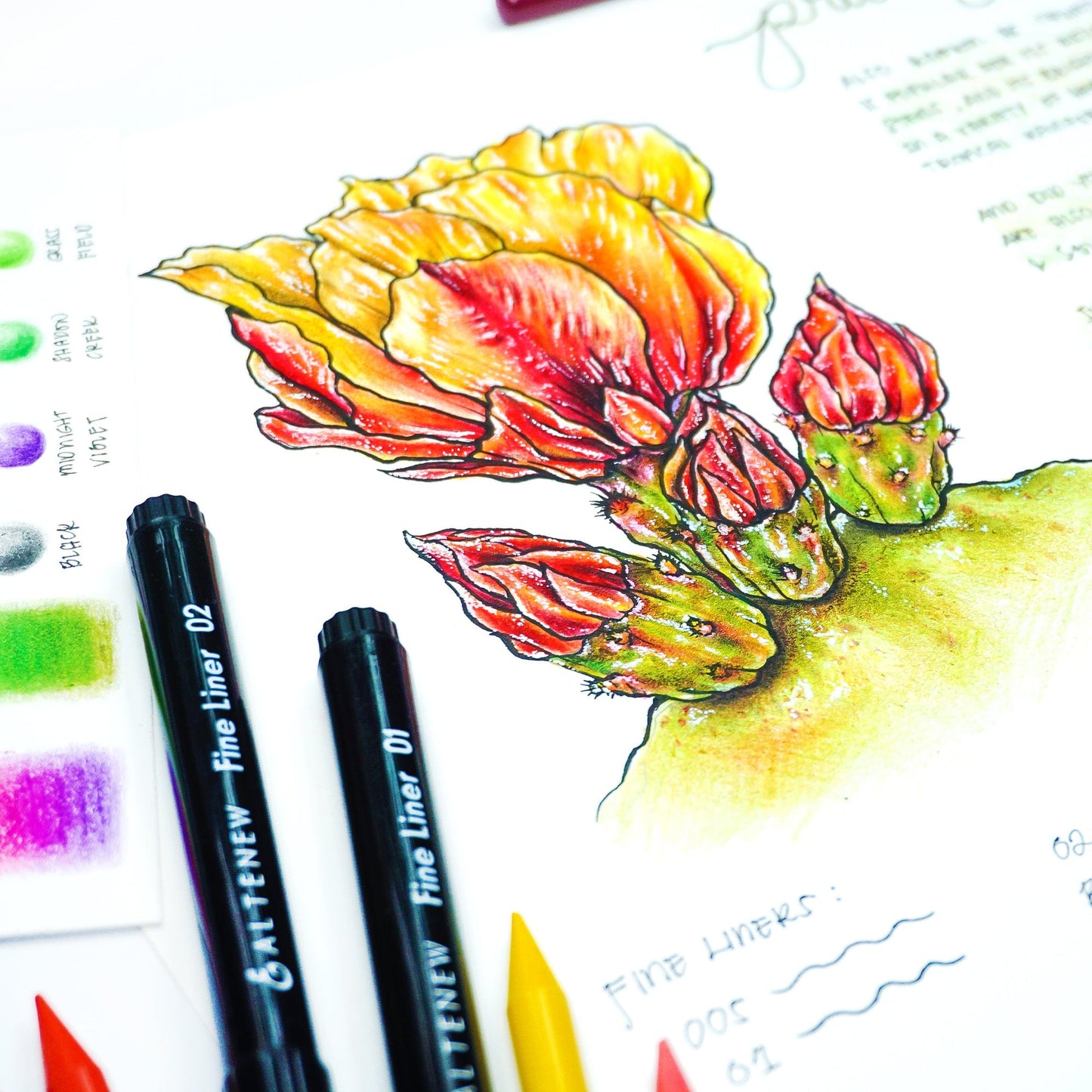 Stationery Fine Liner Pen Set