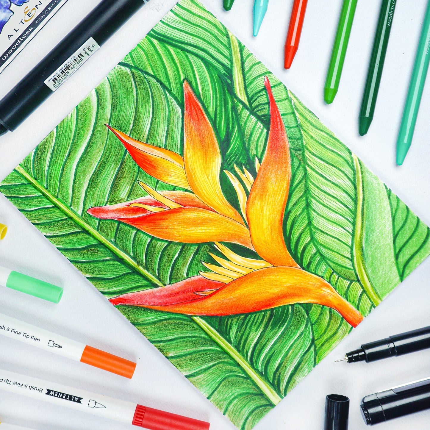 Stationery Fine Liner Pen Set