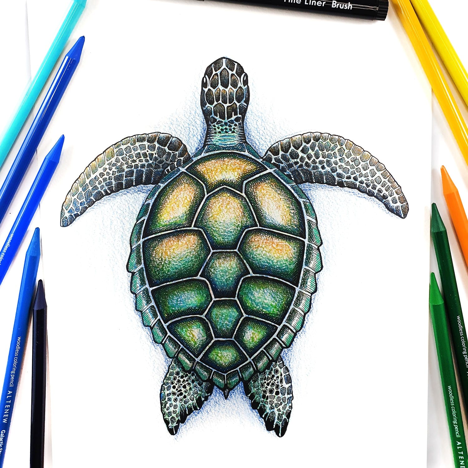 Stationery Fine Liner Pen Set