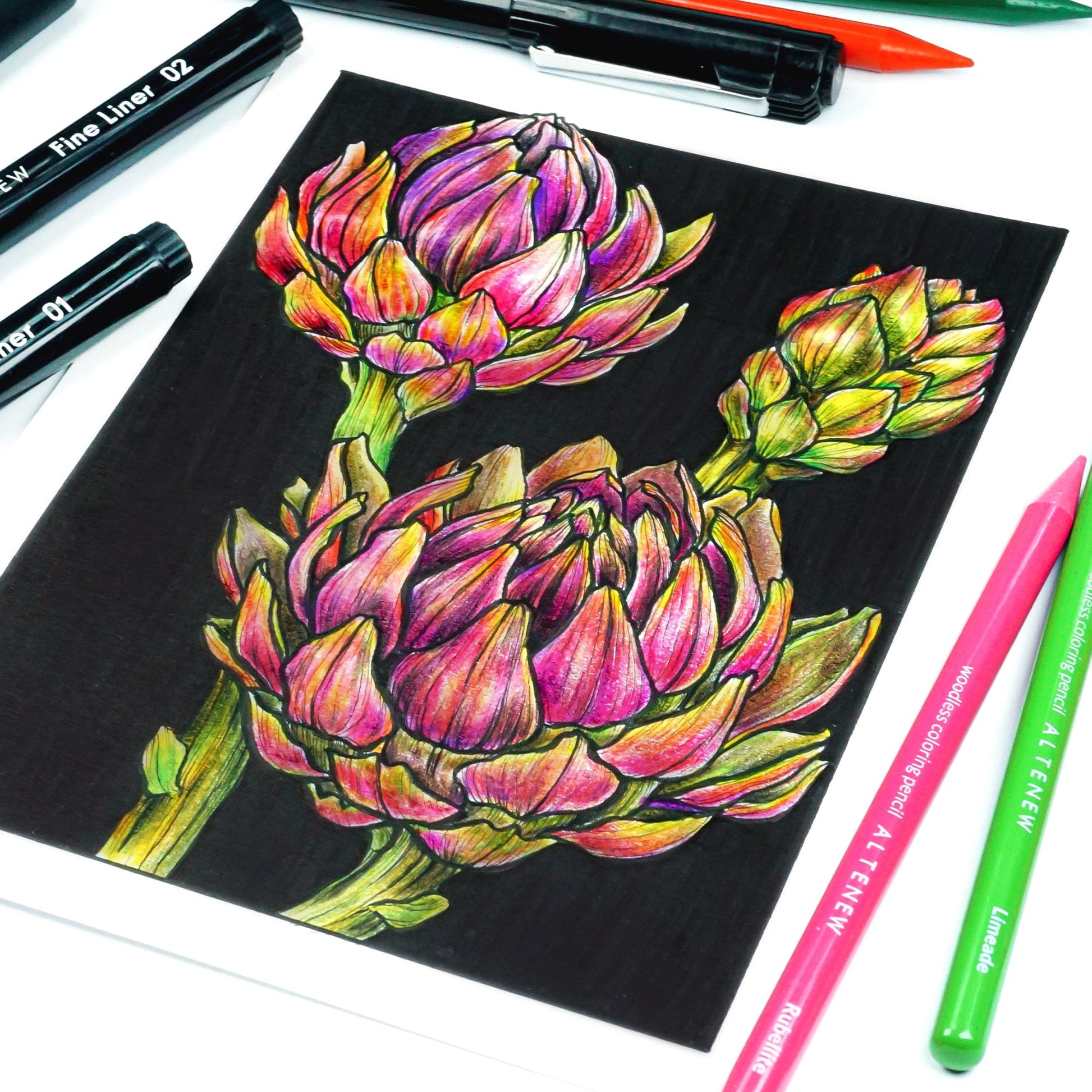 Stationery Fine Liner Pen Set