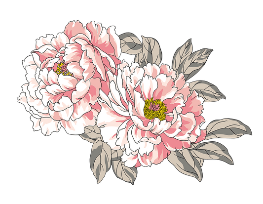 Subscription Plan Test