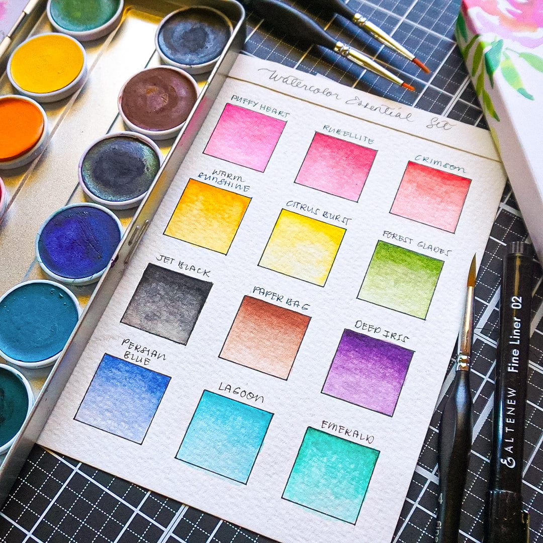 Watercolor Pans Watercolor Essential 12 Pan Set